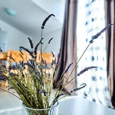 Dragic Apartment Brodarica (Sibenik-Knin)